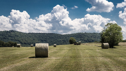 Landscape of bales of hay