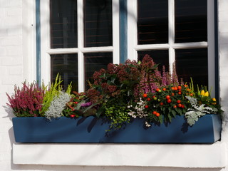 Blumenkasten