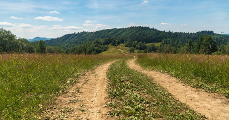 Fototapeta na wymiar mountain scenery with meadow, dirt road and hills covered by forest above Terchova in Slovakia
