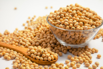 Soybeans background . Dry Soy bean or soya bean in a bowl with some soybeans in wooden spoon on white background