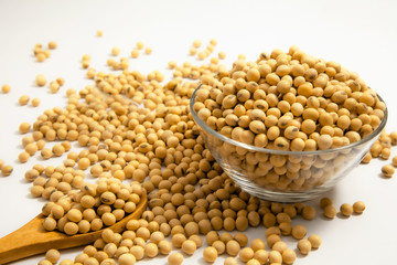 Soybeans background . Dry Soy bean or soya bean in a bowl with some soybeans in wooden spoon on white background