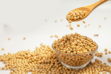 Soybeans background . Dry Soy bean or soya bean in a bowl with some soybeans in wooden spoon on white background