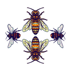Bee illustration using a hand drawing style continued with digital coloring, this is a combination of hand drawing style and digital color