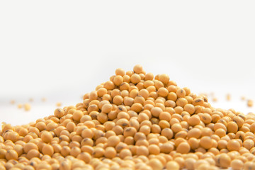 Soybeans background . Dry Soy bean or soya bean in a bowl with some soybeans in wooden spoon on white background