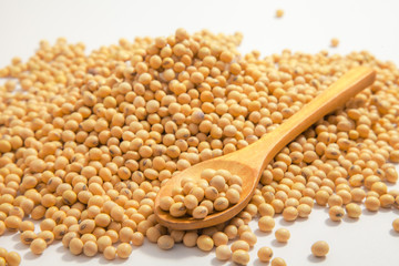 Soybeans background . Dry Soy bean or soya bean in a bowl with some soybeans in wooden spoon on white background
