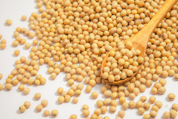 Soybeans background . Dry Soy bean or soya bean in a bowl with some soybeans in wooden spoon on white background