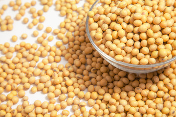 Soybeans background . Dry Soy bean or soya bean in a bowl with some soybeans in wooden spoon on white background