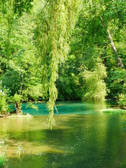 See