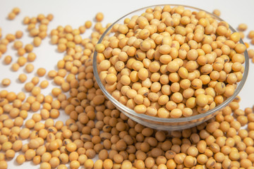 Soybeans background . Dry Soy bean or soya bean in a bowl with some soybeans in wooden spoon on white background