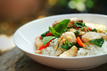 Thai food : Kaphrao Plar is Stirred and fried sliced fish with holy basil and chilies served on steamed rice and fried egg. Shooting in studio for advertising. Thai and Asian food concept.
