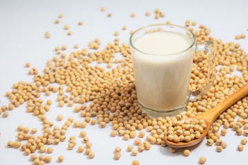 Soy milk pouring in glass and soy bean or soya bean . Alternative Soy milk healthy concept.