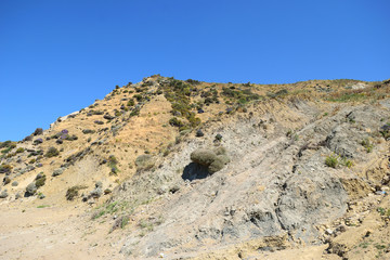 spontaneous flora on turkish aegean island Gokceada