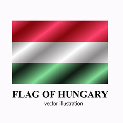 Bright button with flag of Hungary. Happy Hungary day banner. Vector Illustration.