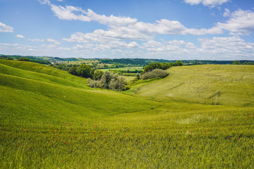 Obraz premium Countryside landscape with Tuscany rolling hills