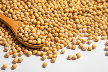Soybeans background . Dry Soy bean or soya bean in a bowl with some soybeans in wooden spoon on white background