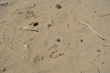 sand on turkish aegean island Gokceada