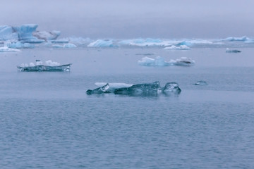Naklejka premium Iceberg lagoon jokulsarlon on the south of Iceland