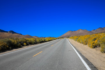 Fototapeta na wymiar Panoramablick einer szenischen Straße im Nationalpark Death Valley