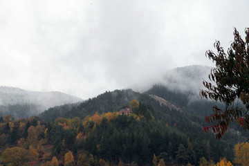 Autumn scene in the vilage.Savsat/Artvin/Turkey