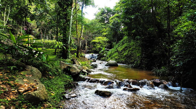 Stream, river, Mea Kampong