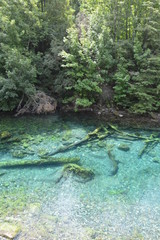 clear water landscape