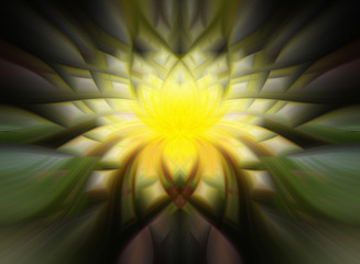 yellow flower abstract lotus