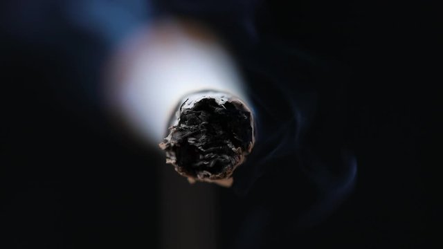 cigarette detail macro smoke in cigar