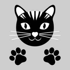 head of a black cat with paws on a white background