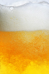 Blonde Pint Of Beer with Bubbles - obrazy, fototapety, plakaty
