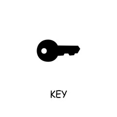 Key flat vector icon