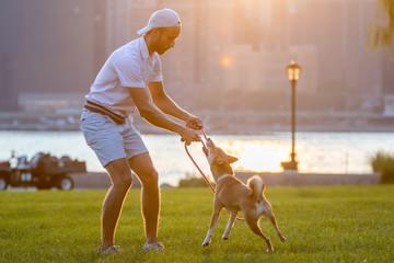 Owner with Shiba inu dog in park 