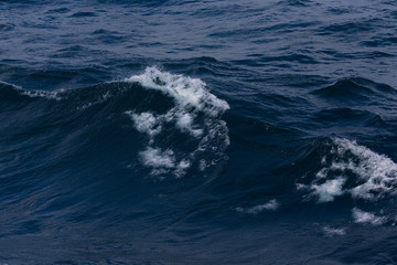 Waves of stormy cold sea on the south of Iceland