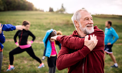 Large group of fit and active people doing exercise in nature, stretching. - obrazy, fototapety, plakaty