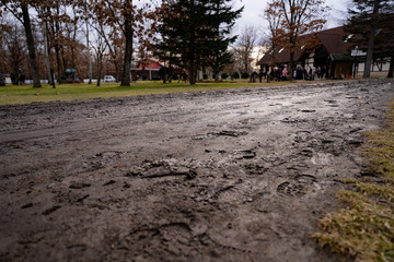 写真素材：ノーザンホースパーク　泥道