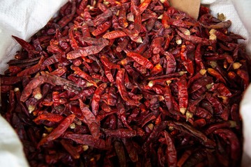 Fototapeta premium Red Spice