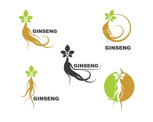 ginseng illustration icon vector design