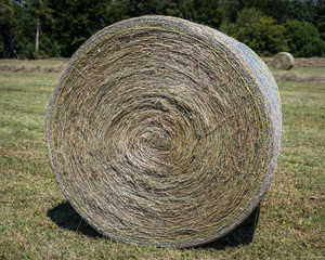 A bale of hay in the summer sun in Germany.