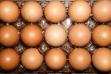 Fifteen brown eggs in a transparent plastic box look with faith. The image is in the background. Flat lay horizontally.