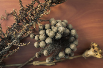 Dried flowers of soft color on wood texture