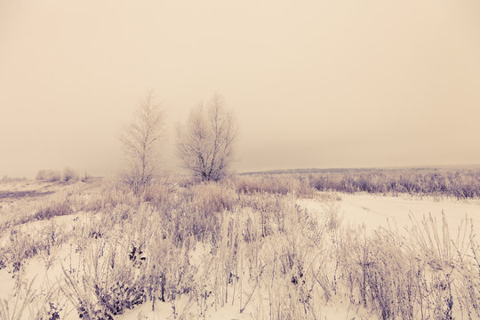Beautiful winter landscape in russian province. Toned