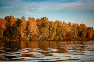 Autumn forest lake reflection landscape