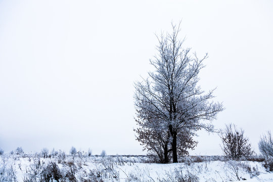 Beautiful winter landscape in russian province. Toned