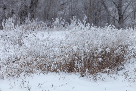 Beautiful winter landscape in russian province