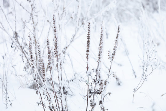 Beautiful winter landscape in russian province