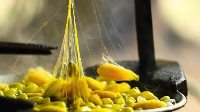 The process of producing yellow silk by hand closeup from Cocoon to Silk thread, Thailand. Processing Boiling silkworm cocoons in hot water.Traditional silk production on the Thai countryside.
