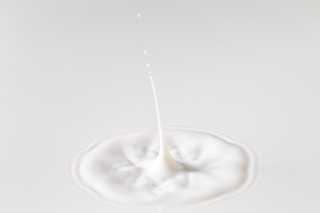 ミルクの飛沫と波紋