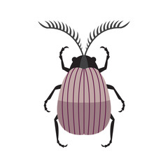 Scarab Beetle Icon in Simple Flat Design