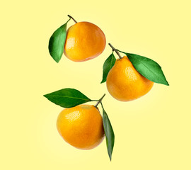 Tangerines of different shapes with leaf on a colored background isolated. Composition of a tangerines orange with leaves. Tangerines flying in the air