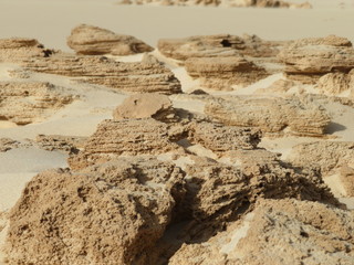 Scogli affiorati dalla sabbia, Capo verde