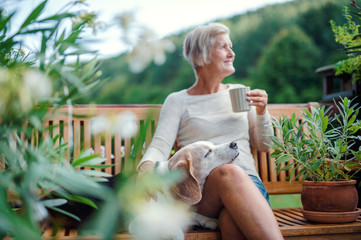 A senior woman with a dog and coffee sitting outdoors on a terrace in summer.